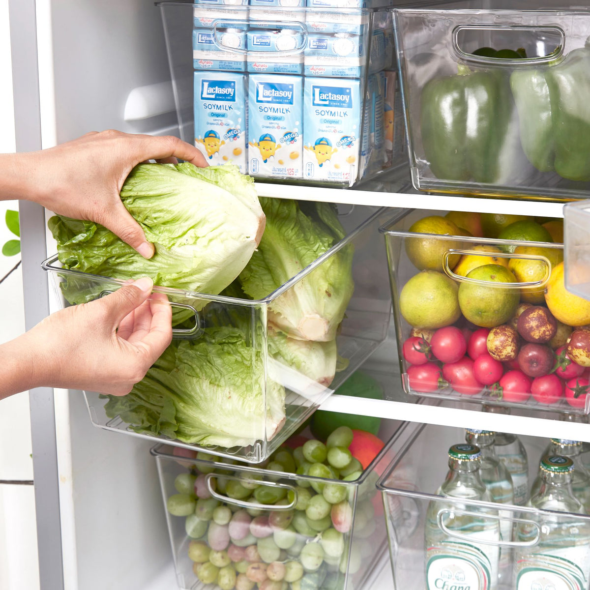 How To Organize Fridge Home Organization Tips