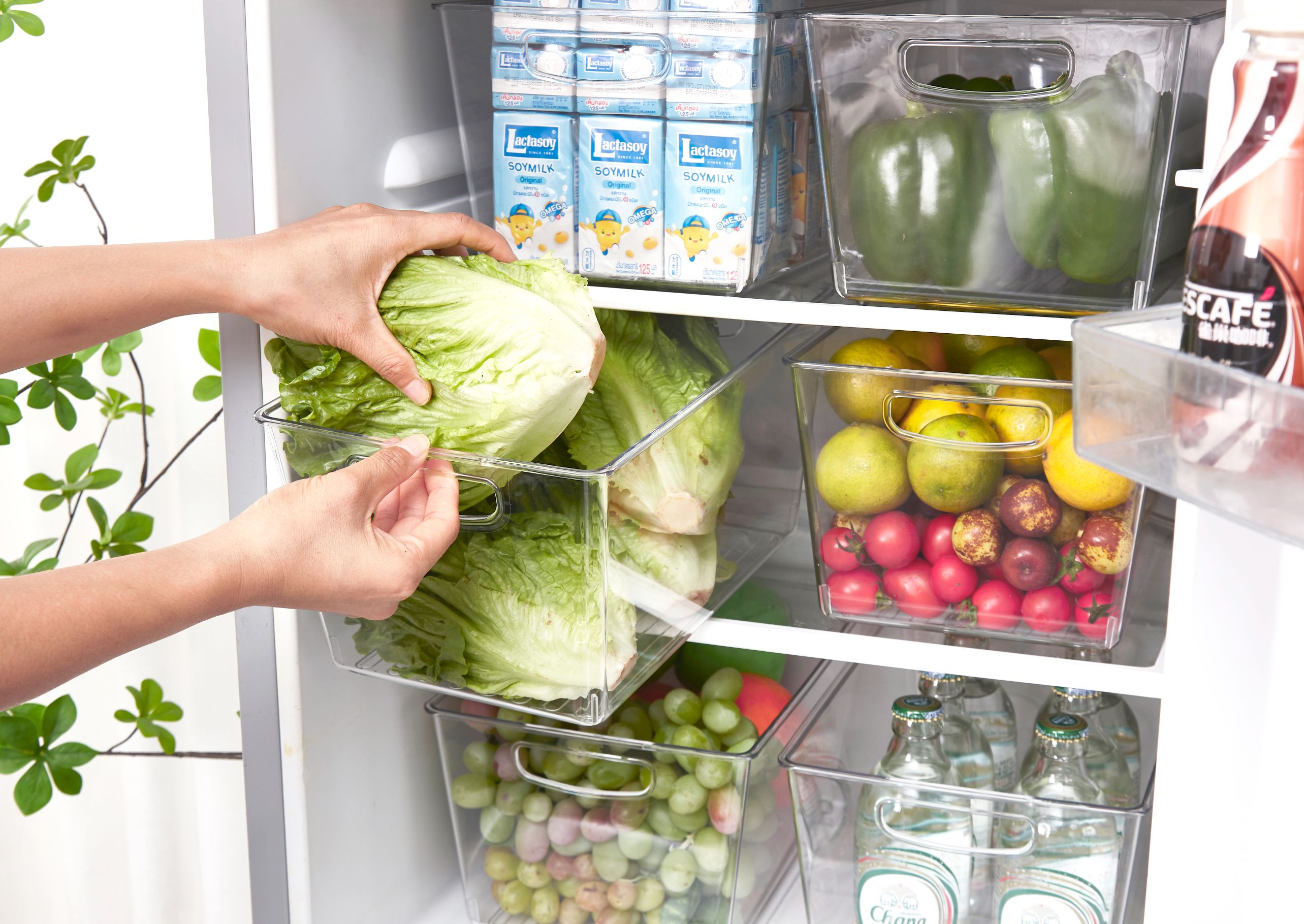 How To Organize Fridge Home Organization Tips