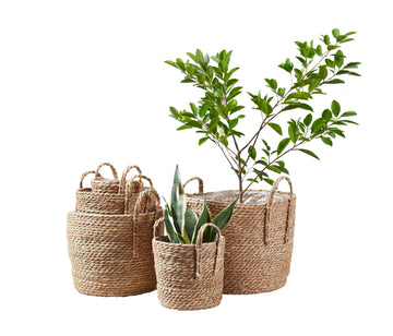 Wicker Storage Basket For Plants with Handle (5-Pack) Indoor Plant Pots