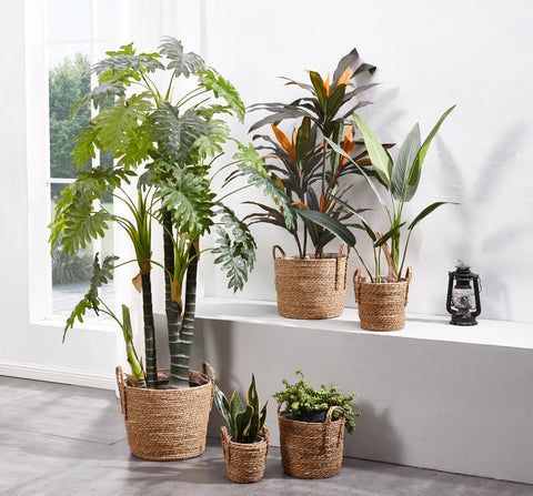 storage baskets for plants