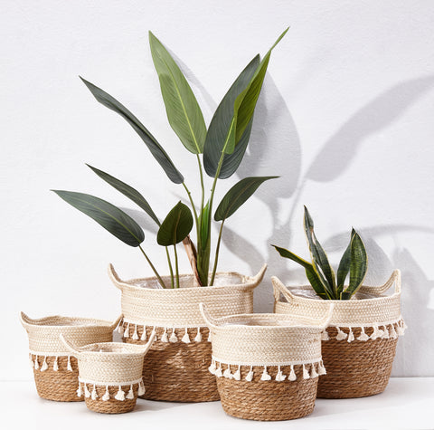 5-Pack Wicker Storage Basket For Plants with Handle and Tassel